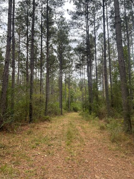 Farm Property for sale in Walthall County, Mississippi