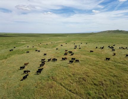 Ranch Property for sale in Kern County, California