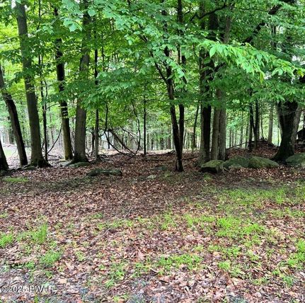 Undeveloped Land for sale in Wayne County, Pennsylvania