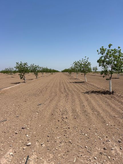 Property for sale in Pecos County, Texas