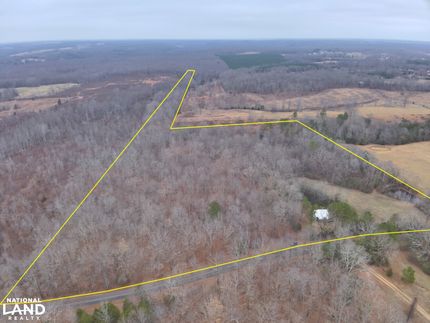 Hunting Land for sale in Lauderdale County, Alabama