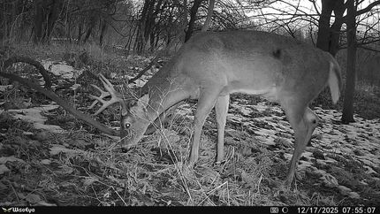 Waterfront Property for sale in Clark County, Illinois