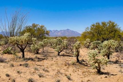 Undeveloped Land for sale in Pima County, Arizona