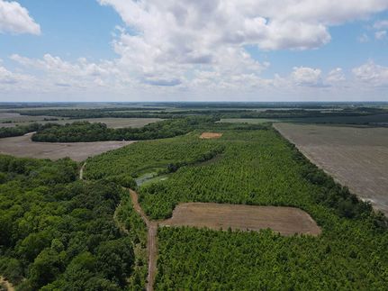 Undeveloped Land for sale in Quitman County, Mississippi