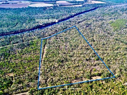 Timberland Property for sale in Suwannee County, Florida