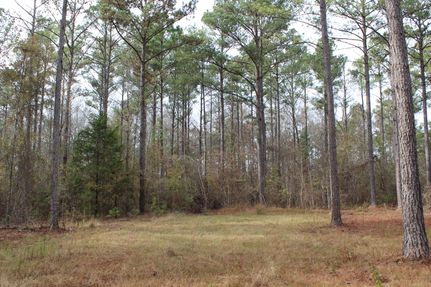 Undeveloped Land for sale in Tallapoosa County, Alabama