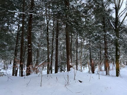 Undeveloped Land for sale in Oswego County, New York