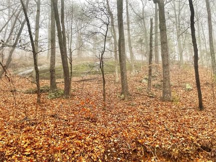 Timberland Property for sale in Iredell County, North Carolina