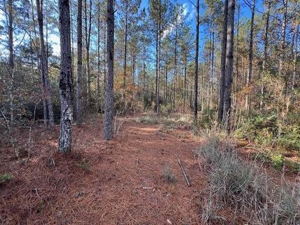 Undeveloped Land for sale in Covington County, Alabama