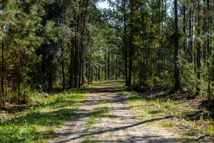 Undeveloped Land for sale in Nassau County, Florida