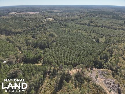 Waterfront Property for sale in Simpson County, Mississippi