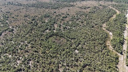 Farm Property for sale in Collier County, Florida