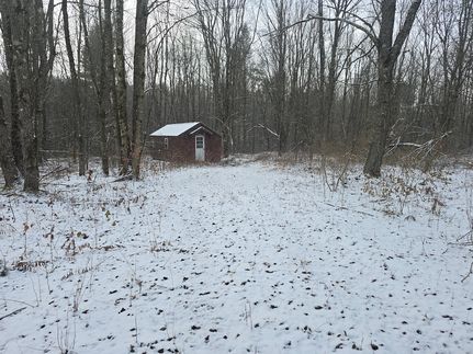 Undeveloped Land for sale in Chenango County, New York