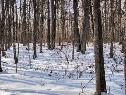 Recreational Property for sale in Forest County, Wisconsin