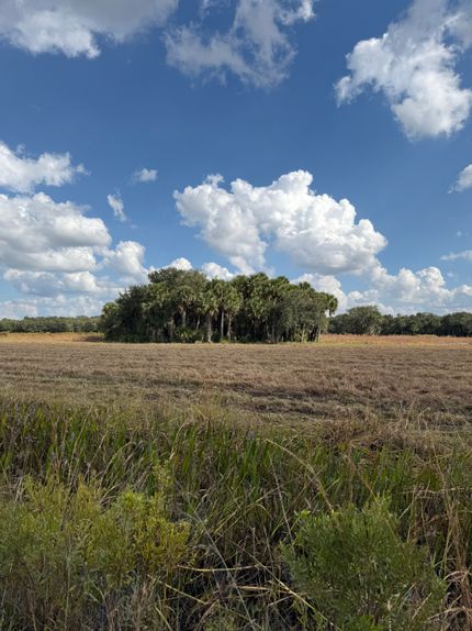 Hunting Land for sale in Okeechobee County, Florida