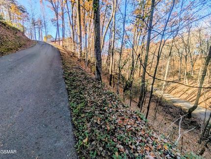 Undeveloped Land for sale in Sevier County, Tennessee