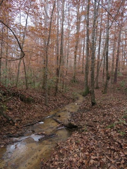 Recreational Property for sale in Randolph County, Georgia