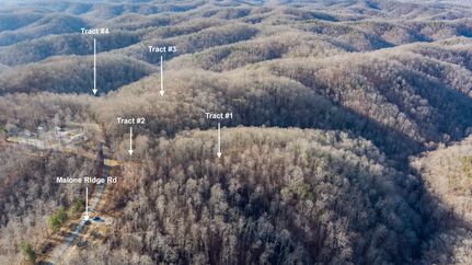 Hunting Land for sale in Clinton County, Kentucky