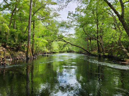 Property for sale in Madison County, Florida