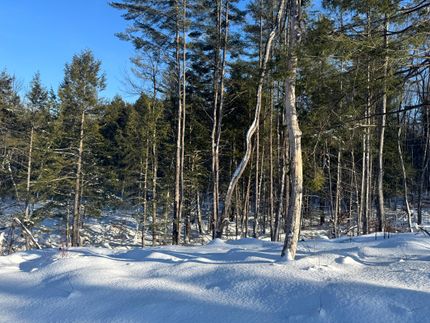 Hunting Land for sale in Oneida County, New York