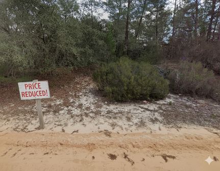 Recreational Property for sale in Putnam County, Florida