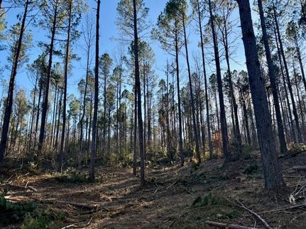 Ranch Property for sale in Franklin County, Mississippi