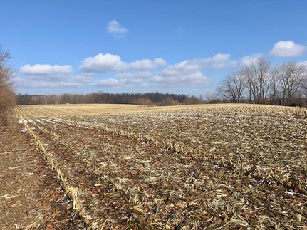 Undeveloped Land for sale in Blackford County, Indiana
