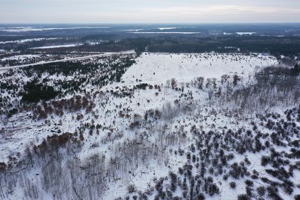 Property for sale in Wadena County, Minnesota