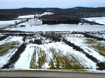 Undeveloped Land for sale in Allegany County, New York