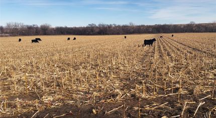 Recreational Property for sale in Franklin County, Nebraska