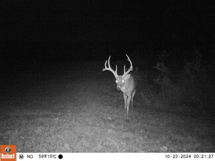 Hunting Land for sale in Union County, Illinois