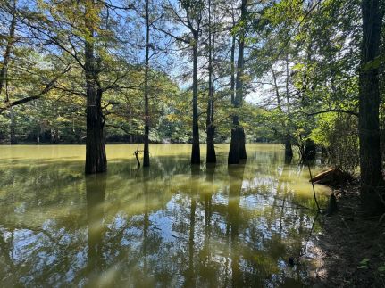 Residential Property for sale in Woodruff County, Arkansas