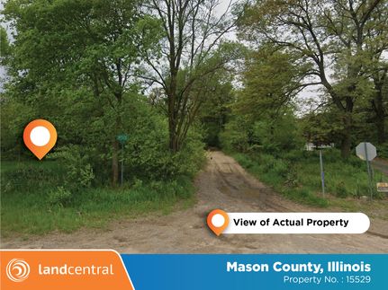 Undeveloped Land for sale in Mason County, Illinois