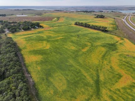 Farm Property for sale in Brule County, South Dakota