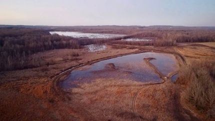 Property for sale in Hopkins County, Kentucky