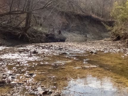 Undeveloped Land for sale in Yazoo County, Mississippi