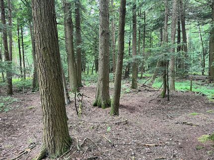 Hunting Land for sale in Crawford County, Pennsylvania