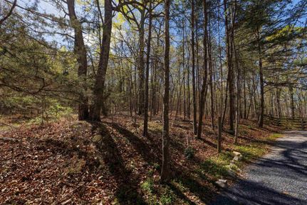 Timberland Property for sale in Rockingham County, Virginia
