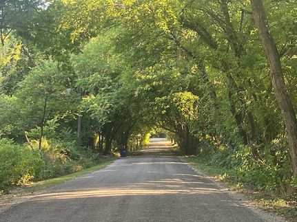 Undeveloped Land for sale in Grayson County, Texas