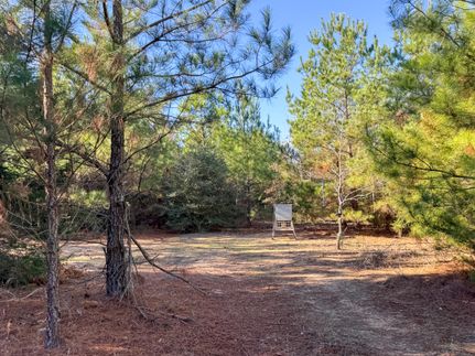 Residential Property for sale in Cass County, Texas
