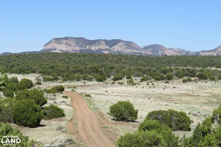 Hunting Land for sale in Catron County, New Mexico