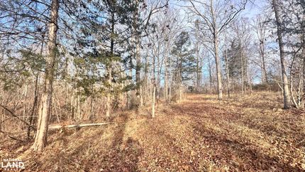 Hunting Land for sale in York County, South Carolina