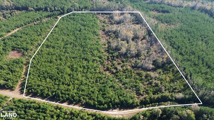 Timberland Property for sale in Berkeley County, South Carolina