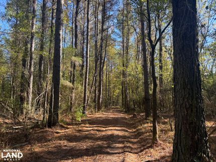 Property for sale in Tuscaloosa County, Alabama