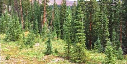 Property for sale in Gunnison County, Colorado