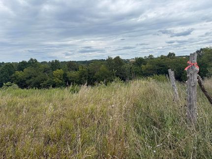 Timberland Property for sale in Pendleton County, Kentucky