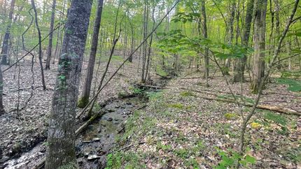 Property for sale in Franklin County, Alabama