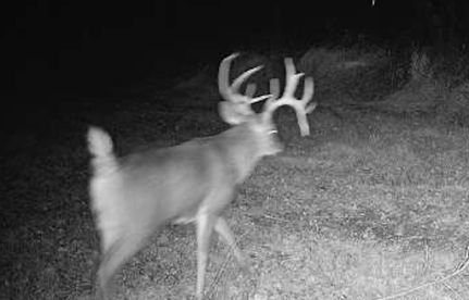 Farm Property for sale in Pulaski County, Illinois