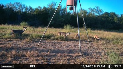 Property for sale in Zapata County, Texas