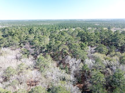 Timberland Property for sale in Orange County, Texas